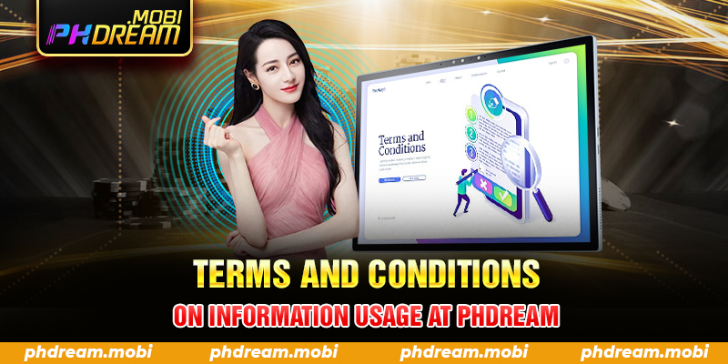 Terms and Conditions on Information Usage at PHDream