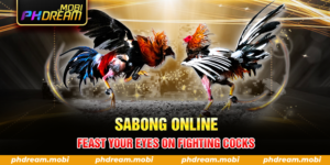 Sabong Online - Feast Your Eyes On Fighting Cocks