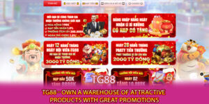 TG88 - Own a Warehouse of Attractive Products with Great Promotions